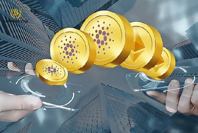 1 coin rác bao nhieu tien