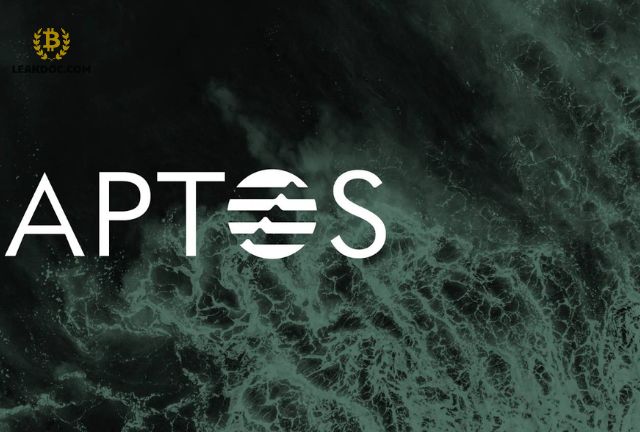 Phân Tích Tiềm Năng Đầu Tư Vào Apt Coin