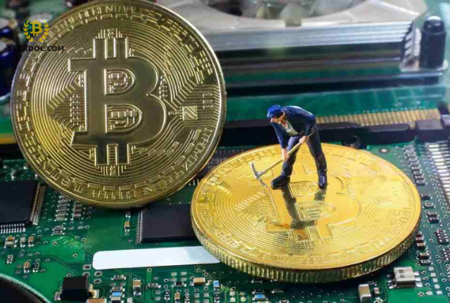 cách chơi bitcoin